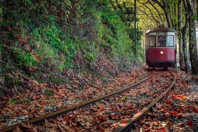 Tranvía (Elétrico) de Sintra que va hasta la Praia das Maçãs